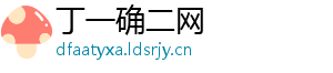 丁一确二网